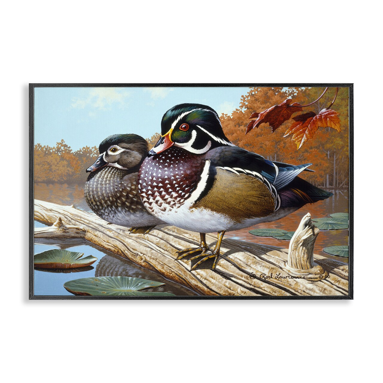 Stupell Industries Duck Pair on Driftwood Framed Giclee Wall Art Design by Rod Lawrence